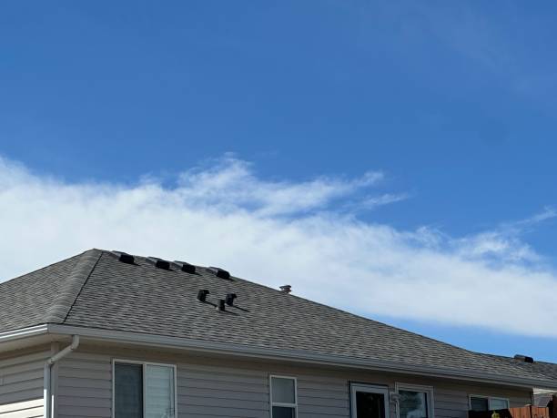 Best Cold Roofs  in Groveton, VA